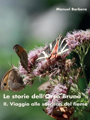 cover image of Le storie dell'Orso Bruno. II. Viaggio alle sorgenti del fiume